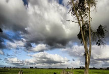 问鼎娱乐官网：CBA：两连胜 广州朗肽海本男篮96-87天津先行者男篮.