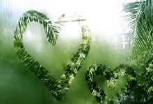 蒂格：我的外祖父出生在中国海南，我为我的中国背景感到骄傲.